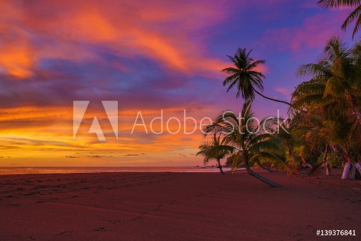 Image de Vivid ocean sunset with clouds and palm trees